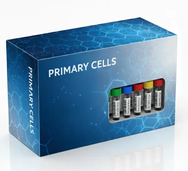 BALB/c Mouse Bone Marrow Cells, 10M cells/vial